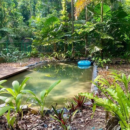Daintree Siesta Villa Diwan Kültér fotó